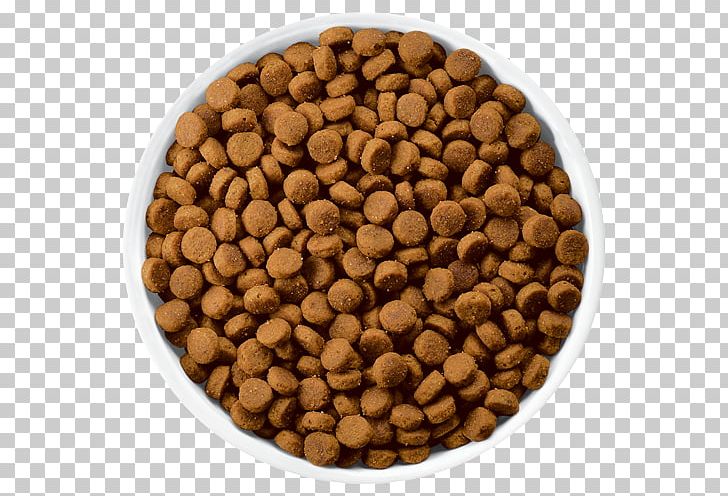 Dog Food Cat Food Hill's Pet Nutrition PNG, Clipart,  Free PNG Download