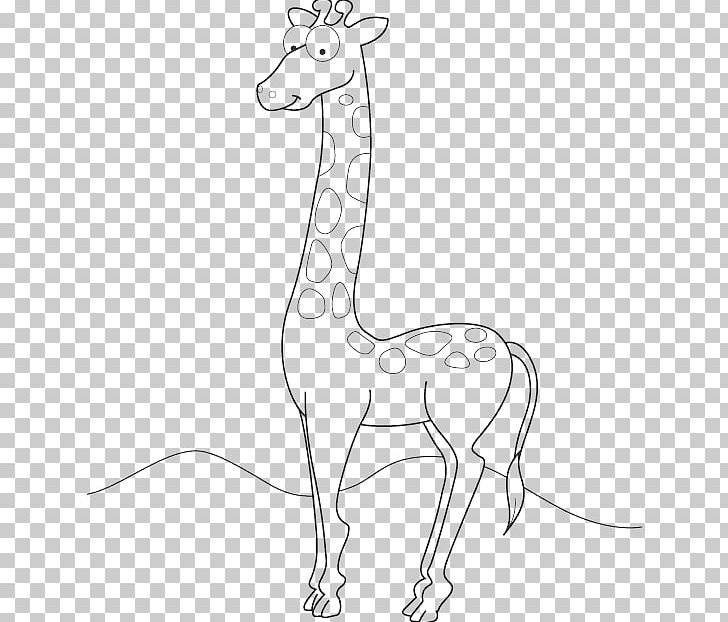 Drawing Line Art Northern Giraffe Animal PNG, Clipart, Animal, Animal Figure, Animals, Artwork, Black Free PNG Download