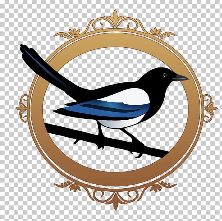 Flight Of Magpies The Magpie Lord Amazon.com Rag And Bone Le Charme Des Magpie PNG, Clipart, Amazoncom, Amazon Kindle, Beak, Bird, Book Free PNG Download
