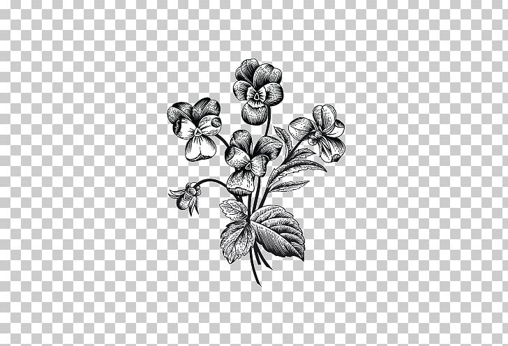 Photographer Photography La Jardinera No Wellington's PNG, Clipart, Artwork, Black And White, Branch, Drawing, Flora Free PNG Download
