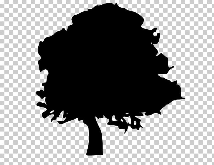 Tree Silhouette Northern Red Oak PNG, Clipart, Acorn, Black, Black And White, Branch, Clip Art Free PNG Download