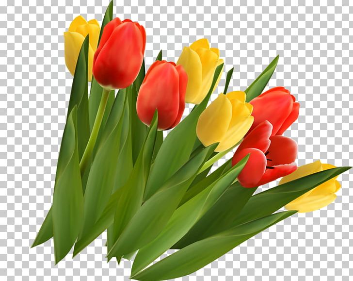 Tulip Flower PNG, Clipart, Decoupage, Floral Design, Floristry, Flower, Flower Arranging Free PNG Download