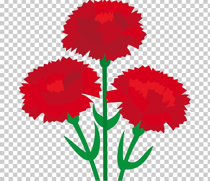 Carnation Father's Day Mother's Day Flower PNG, Clipart, Artwork, Carnation, Cut Flowers, Fathers Day, Flora Free PNG Download