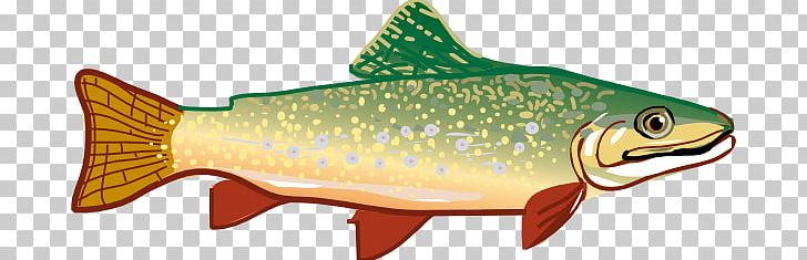 Rainbow Trout PNG, Clipart, Blog, Bony Fish, Brown Trout, Coastal Cutthroat Trout, Cod Free PNG Download