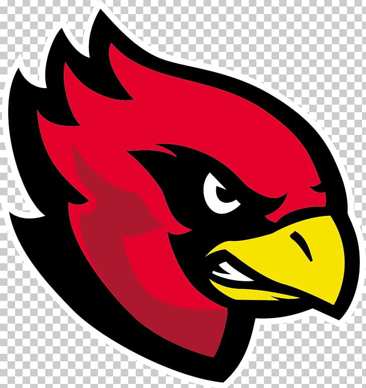 Sportpark Am Hallo Assindia Cardinals Arizona Cardinals Bielefeld Bulldogs Cologne Falcons PNG, Clipart, American Football, Art, Artwork, Beak, Bird Free PNG Download