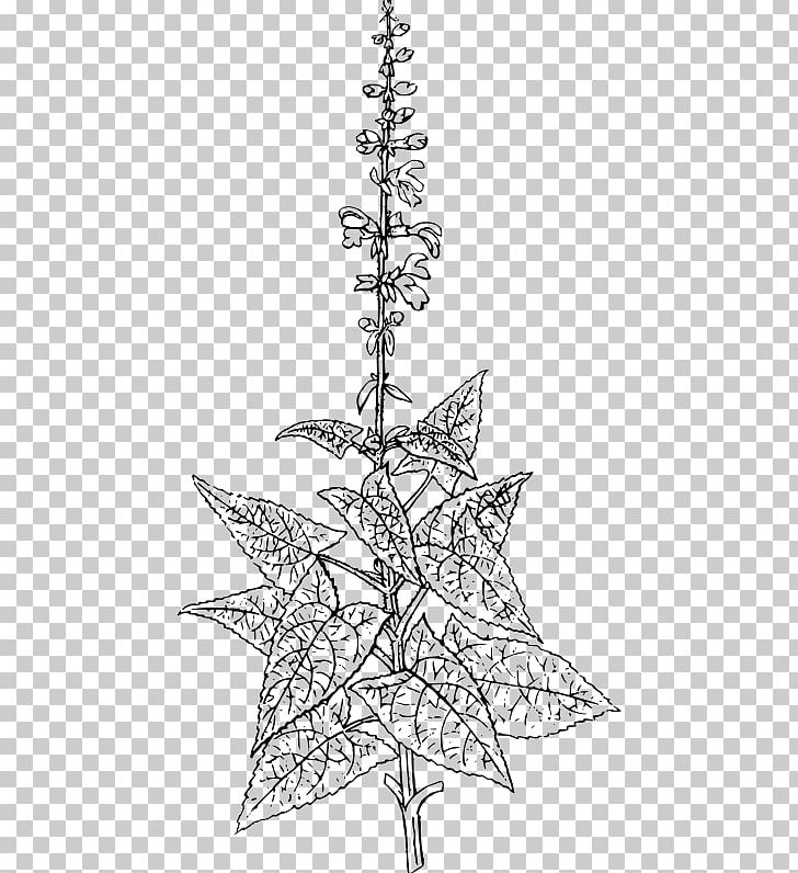Christmas Tree Spruce Twig Fir Line Art PNG, Clipart, Angle, Arts, Black And White, Branch, Christmas Free PNG Download