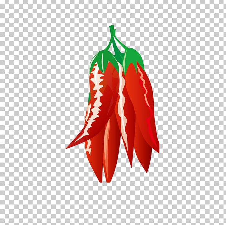 Chuan Capsicum Annuum Pungency PNG, Clipart, Art, Bell Peppers And Chili Peppers, Capsicum Annuum, Chili Pepper, Chuan Free PNG Download