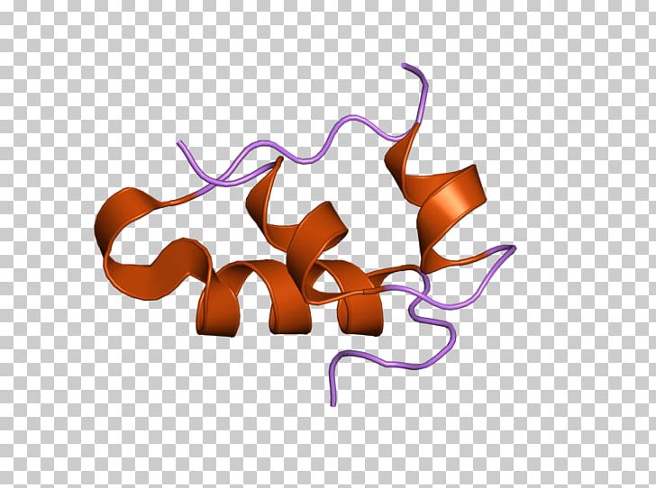 Insulin Receptor Insulin Resistance Signal Transduction Peptide Hormone PNG, Clipart, Anabolism, Beta Cell, Cell, Computer Wallpaper, Dose Free PNG Download
