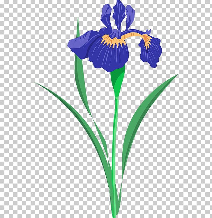 Iris Versicolor Iris Lacustris PNG, Clipart, Art, Blog, Eye, Flora, Floral Design Free PNG Download
