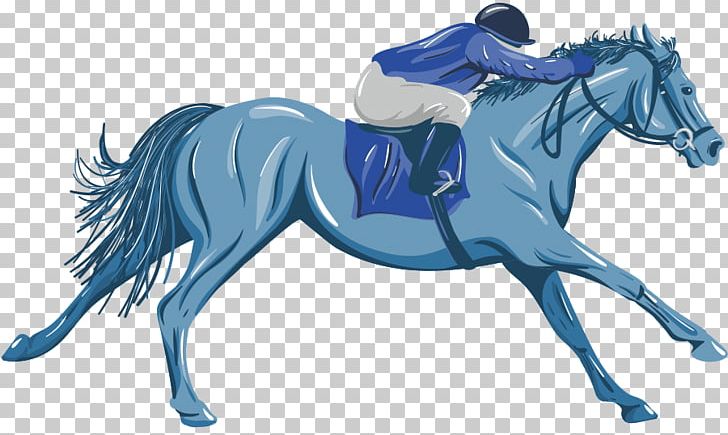 Mane Pony Mustang Stallion English Riding PNG, Clipart, Bridle, Character, English Riding, Eques, Equestrian Free PNG Download