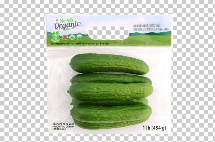 Pickled Cucumber Melon Organic Food PNG, Clipart, Bag, Child, Common Nightingale, Cucumber, Cucumber Gourd And Melon Family Free PNG Download