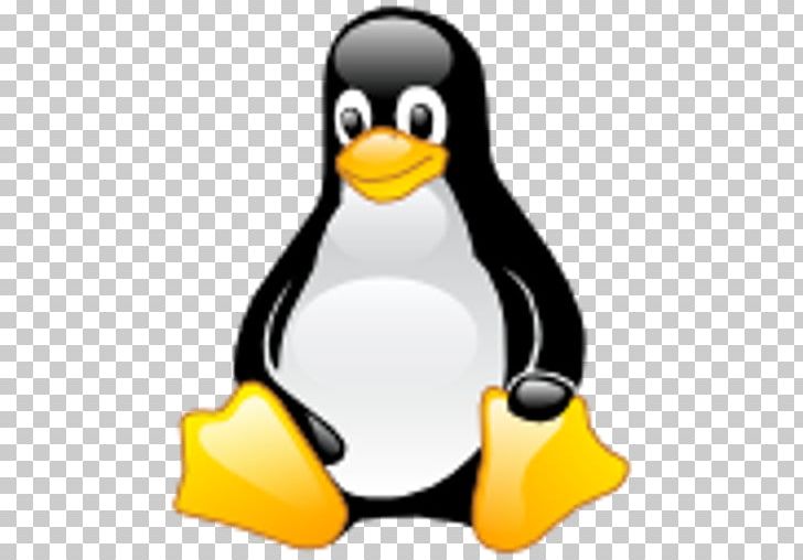 SuperTux Portable Network Graphics Computer Icons Linux PNG, Clipart, Beak, Bird, Computer Icons, Directory, Flightless Bird Free PNG Download