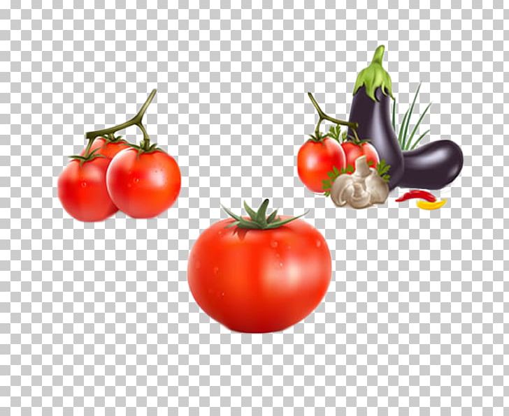 Vegetable Tomato Eggplant Icon PNG, Clipart, Buckle, Encapsulated Postscript, Food, Fruit, Fruits And Vegetables Free PNG Download