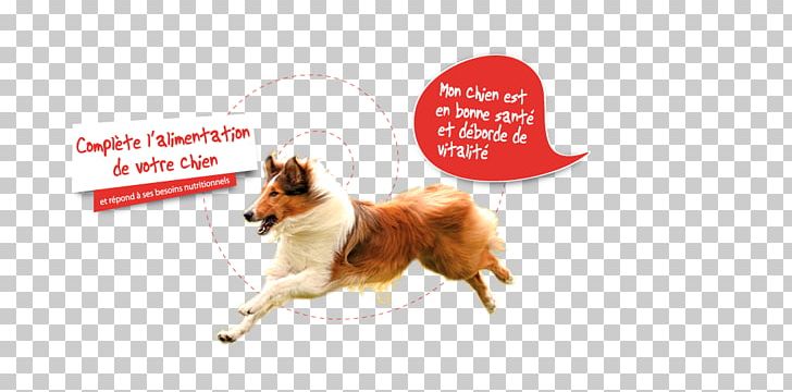 Dog Breed Advertising Leash Snout PNG, Clipart, Advertising, Agriculture Chin, Animals, Breed, Dog Free PNG Download