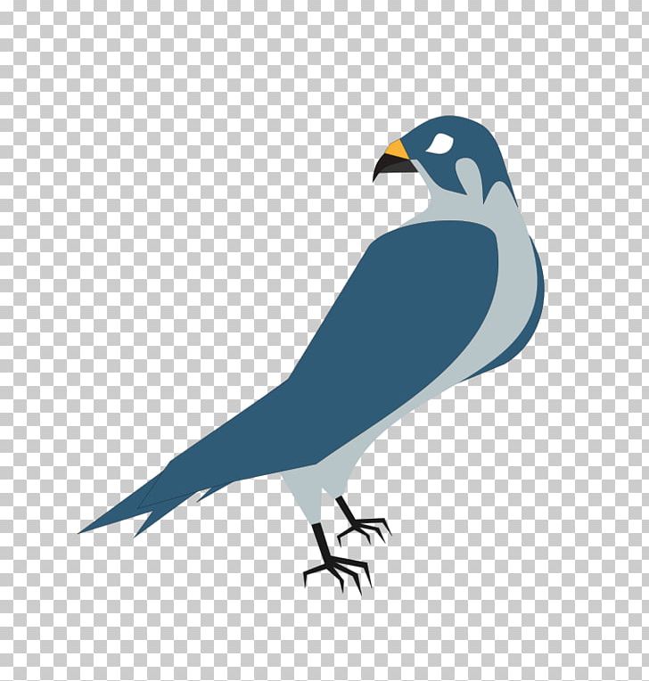 Hawk Free Content PNG, Clipart, Beak, Bird, Bird Of Prey, Blog, Computer Icons Free PNG Download