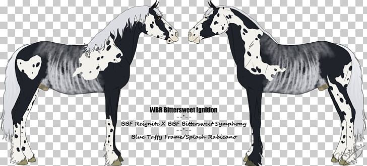 Mustang Foal Stallion Mare Colt PNG, Clipart, Animal Figure, Art, Artist, Baroque Horse, Black And White Free PNG Download
