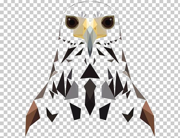 Owl Bird Hawk PNG, Clipart, Animal, Animals, Bald Eagle, Beak, Bird Of Prey Free PNG Download