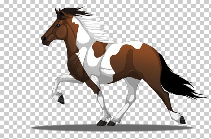 Pony Foal Icelandic Horse Mustang Stallion PNG, Clipart, Colt, Deviantart, Drawing, Drawing Horse, English Riding Free PNG Download