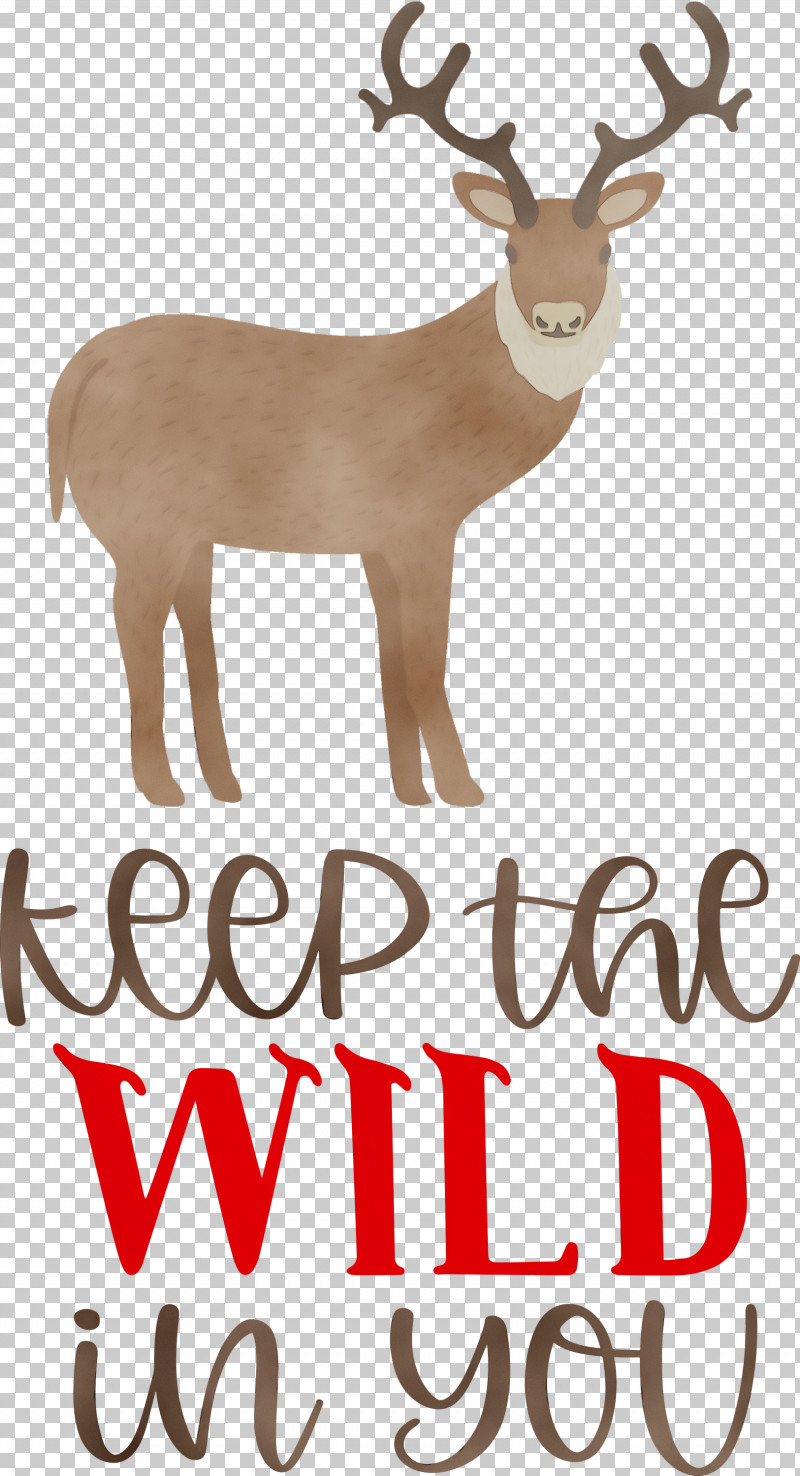 Reindeer PNG, Clipart, Biology, Deer, Keep Wild, Meter, Paint Free PNG Download