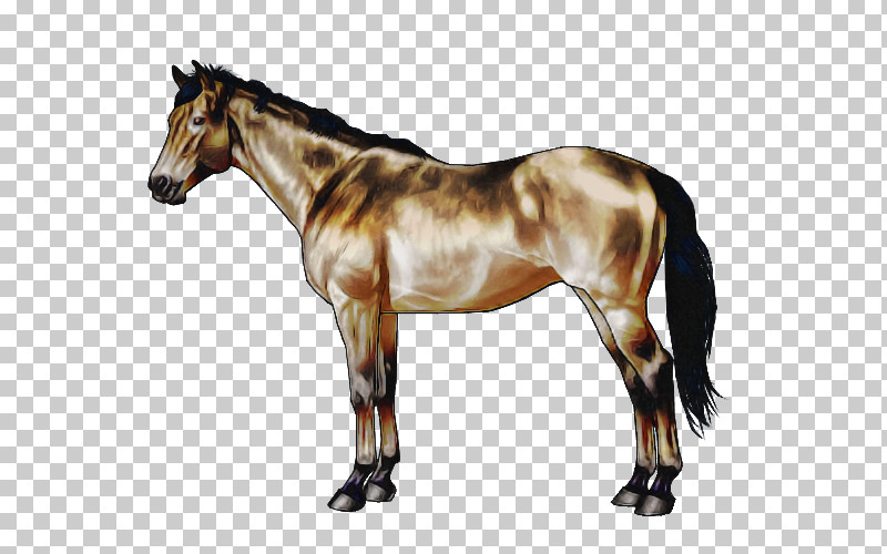 Horse Animal Figure Sorrel Mare Stallion PNG, Clipart, Animal Figure, Horse, Liver, Mane, Mare Free PNG Download