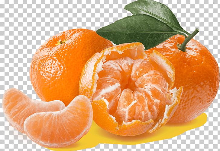 Clementine Mandarin Orange Tangerine Tangelo Bitter Orange PNG, Clipart, Bitter Orange, Chenpi, Citric Acid, Citrus, Clementine Free PNG Download