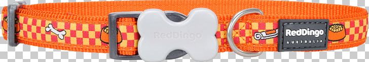 Dog Collar Dingo PNG, Clipart, Audio, Brand, Centimeter, Collar, Dingo Free PNG Download