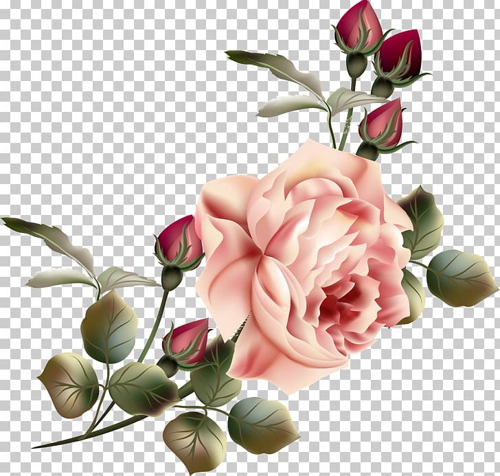 Flower Garden Roses PNG, Clipart, Artificial Flower, Blossom, Clip, Cut Flowers, Dia Free PNG Download