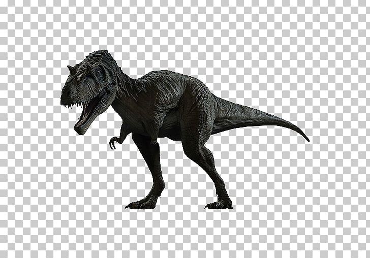 Albertosaurus Utahraptor Deinonychus Velociraptor Spinosaurus PNG, Clipart, Albertosaurus, Animal Figure, Cretaceous, Deinonychus, Dino Free PNG Download