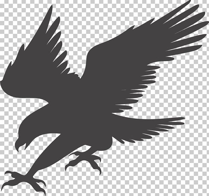 Bald Eagle PNG, Clipart, Animals, Art, Bird, Computer Wallpaper, Eagle Free PNG Download