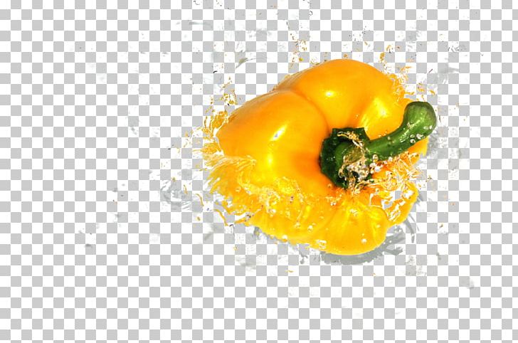 Bell Pepper Capsicum Chili Pepper Vegetable Stock.xchng PNG, Clipart, Bell Peppers And Chili Peppers, Bells, Food, Fruit, Green Bell Pepper Free PNG Download