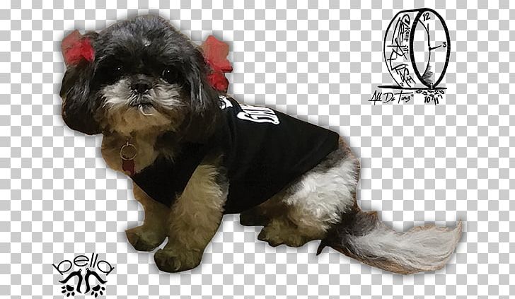 Dog Breed Shih Tzu Havanese Dog Puppy Companion Dog PNG, Clipart, Bark, Barking Dog, Breed, Carnivoran, Companion Dog Free PNG Download