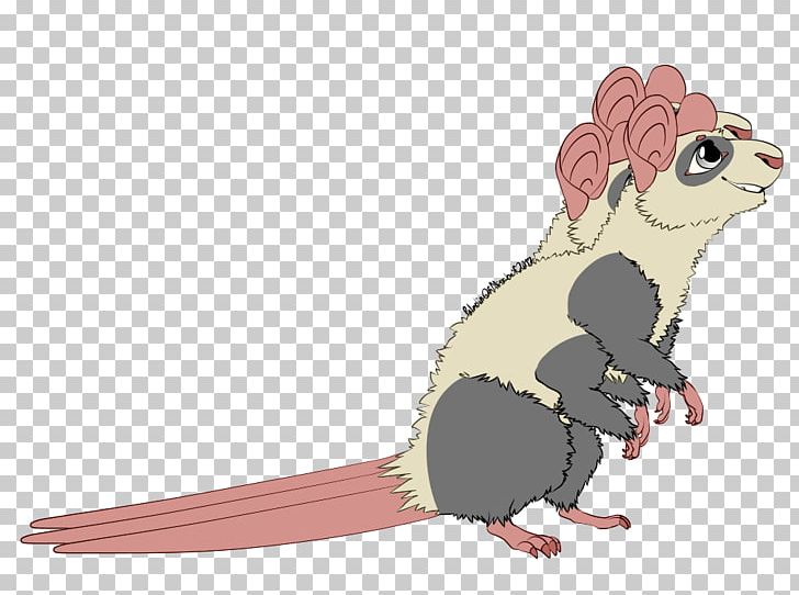Mouse Rat Rodent Muroidea Animal PNG, Clipart, Animal, Animals, Beak, Bird, Carnivora Free PNG Download