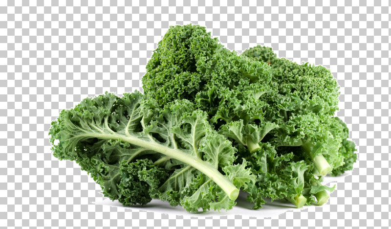 Leaf Vegetable Vegetable Food Plant Broccoli PNG, Clipart, Broccoli, Flower, Food, Grass, Kale Free PNG Download