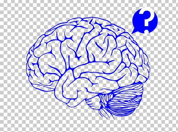 Agy Medicine PNG, Clipart, Agy, Area, Brain, Brain It On The Truck, Cerebral Cortex Free PNG Download