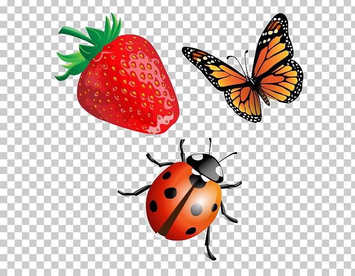 Beetle Ladybird PNG, Clipart, Animation, Aphid, Beneficial Insects, Brush Footed Butterfly, Butterflies Free PNG Download