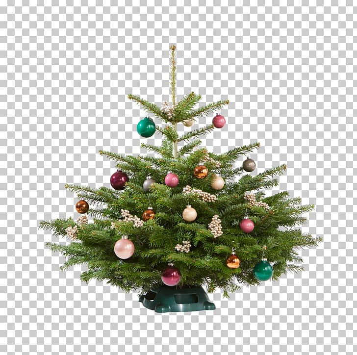 Christmas Tree Spruce Christmas Ornament Pine PNG, Clipart, Blume, Christmas, Christmas Decoration, Christmas Ornament, Christmas Tree Free PNG Download