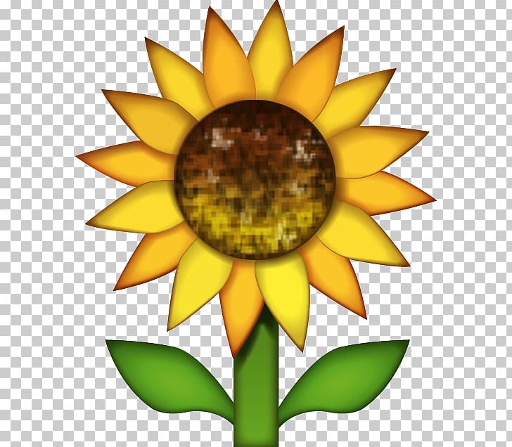 Emojipedia Common Sunflower Sticker IPhone PNG, Clipart, Common Sunflower, Daisy Family, Emoji, Emojipedia, Emoticon Free PNG Download