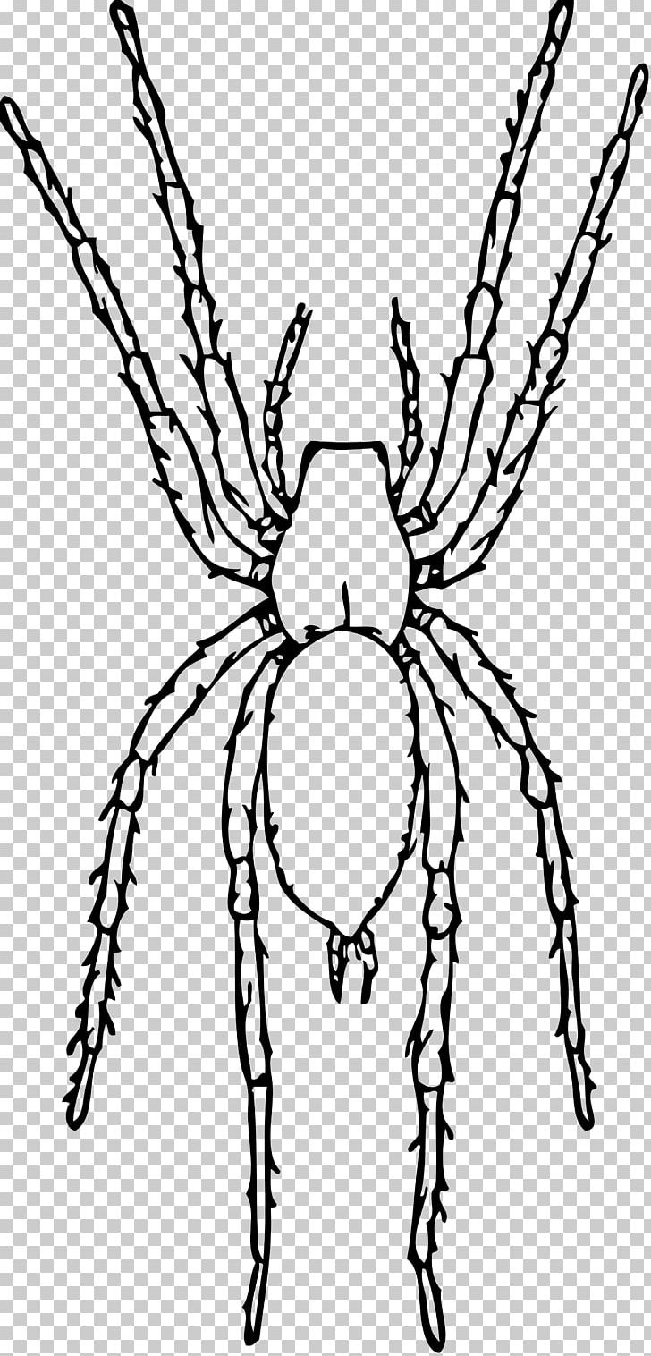 Spider Drawing PNG, Clipart, Arthropod, Artwork, Black And White, Color, Drawing Free PNG Download