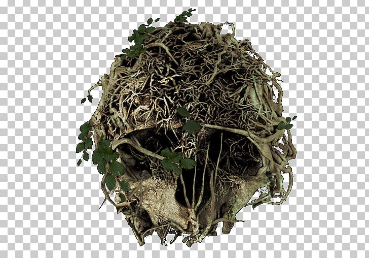 The Forest Tea Production In Sri Lanka The Technomancer Endnight Games PNG, Clipart, Bai Mudan, Bird Nest, Early Access, Endnight Games, Firstperson Free PNG Download