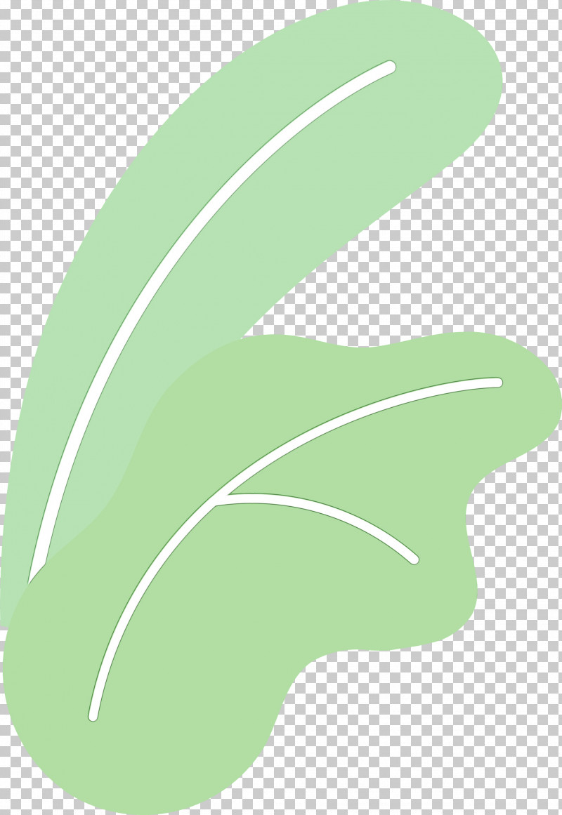 Leaf Angle Line Meter Plant Structure PNG, Clipart, Angle, Biology, Leaf, Line, Meter Free PNG Download