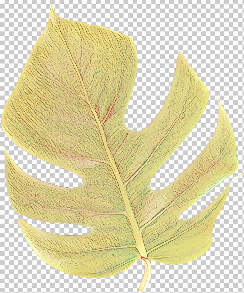 Plane PNG, Clipart, Flower, Leaf, Plane, Plant, Tree Free PNG Download