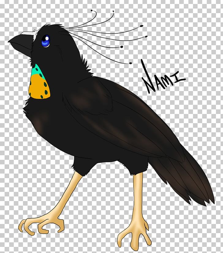 Common Myna Parotia PNG, Clipart, Acridotheres, Anime, Art, Artist, Beak Free PNG Download