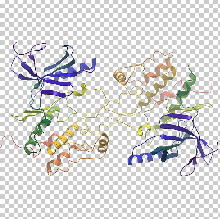 Illustration Product Design WNK Lysine Deficient Protein Kinase 3 PNG, Clipart, Amine Oxidase, Animal, Area, Art, Enzyme Free PNG Download
