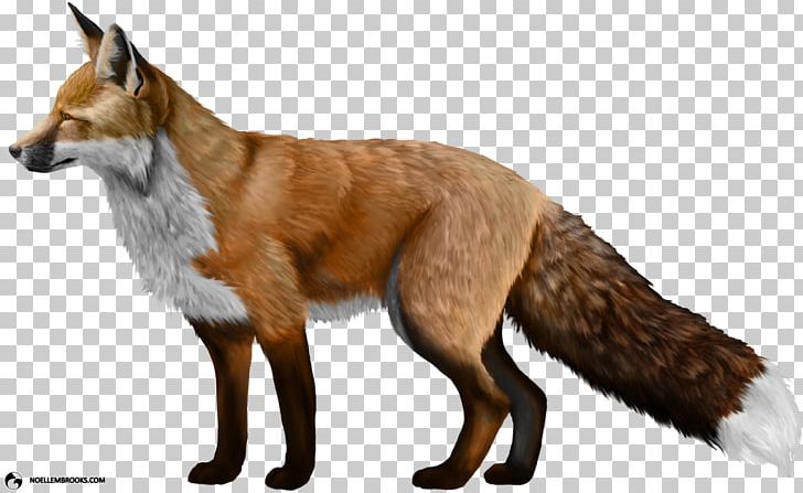 Red Fox PNG, Clipart, Animals, Carnivoran, Computer Icons, Desktop Wallpaper, Dog Breed Free PNG Download