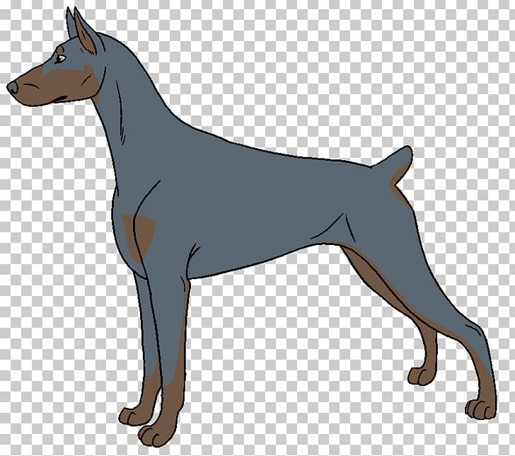 Dobermann German Pinscher Manchester Terrier Miniature Pinscher Dog Breed PNG, Clipart, Breed, Carnivoran, Doberman, Dobermann, Dog Free PNG Download