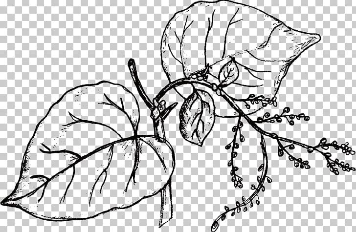 Drawing Flower Leaf PNG, Clipart, Abstract Lines, Art, Artwork, Black, Black And White Free PNG Download