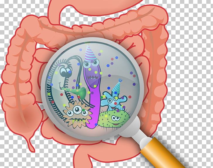 Gastrointestinal Tract Gut Flora Health Dientamoeba Fragilis Nutrition PNG, Clipart, Blastocystis, Blastocystis Hominis, Diarrhea, Dientamoeba Fragilis, Gastrointestinal Tract Free PNG Download