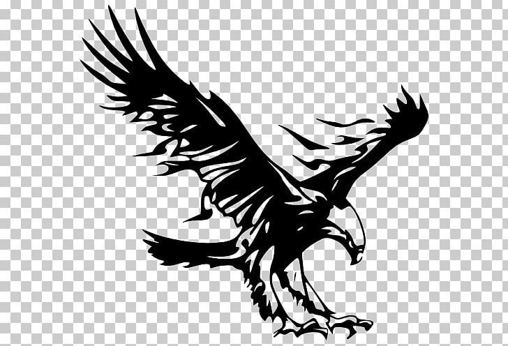 Logo Bald Eagle Golden Eagle PNG, Clipart, Animals, Art, Bird, Bumper Sticker, Cdr Free PNG Download