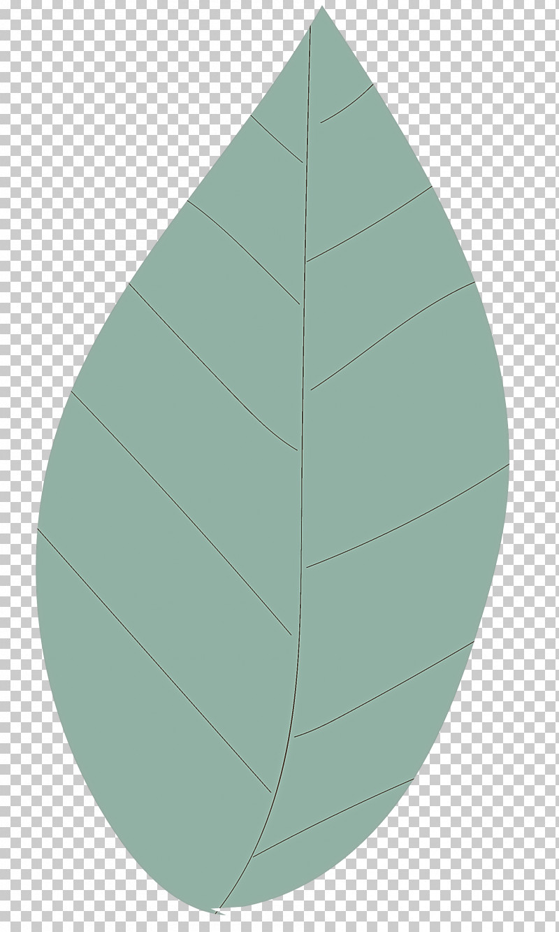 Leaf Circle Angle Green Plant Structure PNG, Clipart, Analytic Trigonometry And Conic Sections, Angle, Biology, Circle, Green Free PNG Download