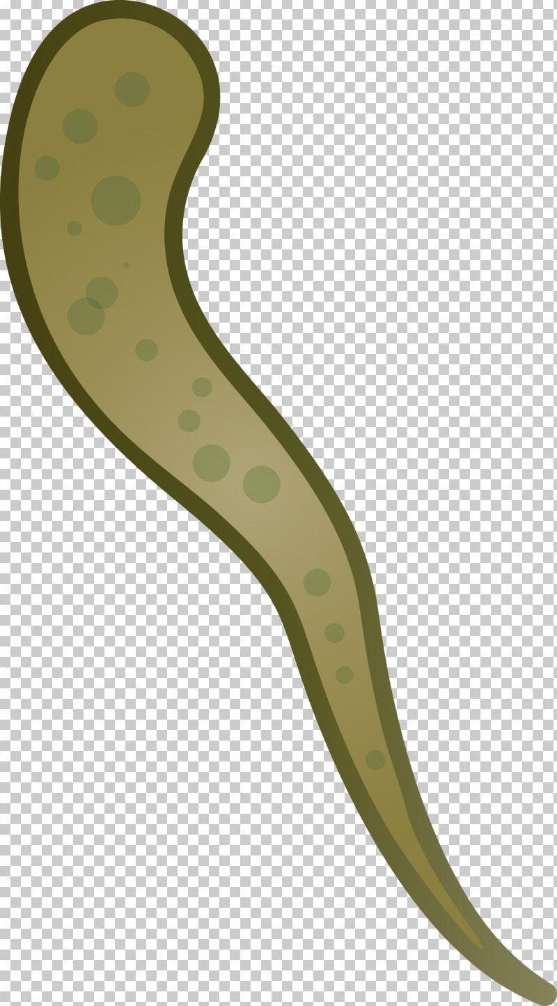 Virus PNG, Clipart, Flatworm, Green, Plant, Virus Free PNG Download